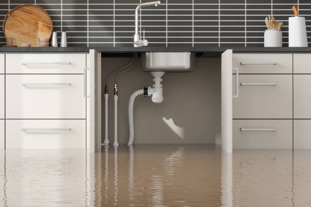 Trusted Lincolndale, NY Water damage restoration Experts